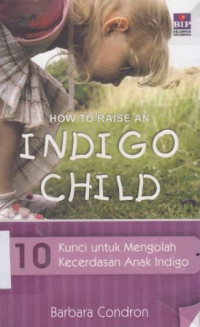 Image of 10 Kunci untuk mengolah kecerdasan anak Indigo
