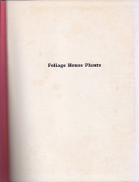 Image of Foliage house plants