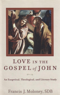 Image of Love in the gospel of john : an exegetical, theological and literary study