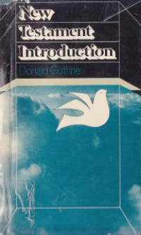 Image of New testament introdution