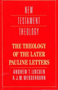 Image of New Testament Theology : the theology of the later pauline letters